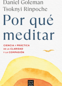 descargar por qué meditar pdf